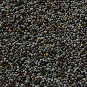 Poppy Seeds