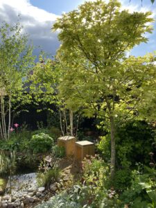 sustainable gardening
