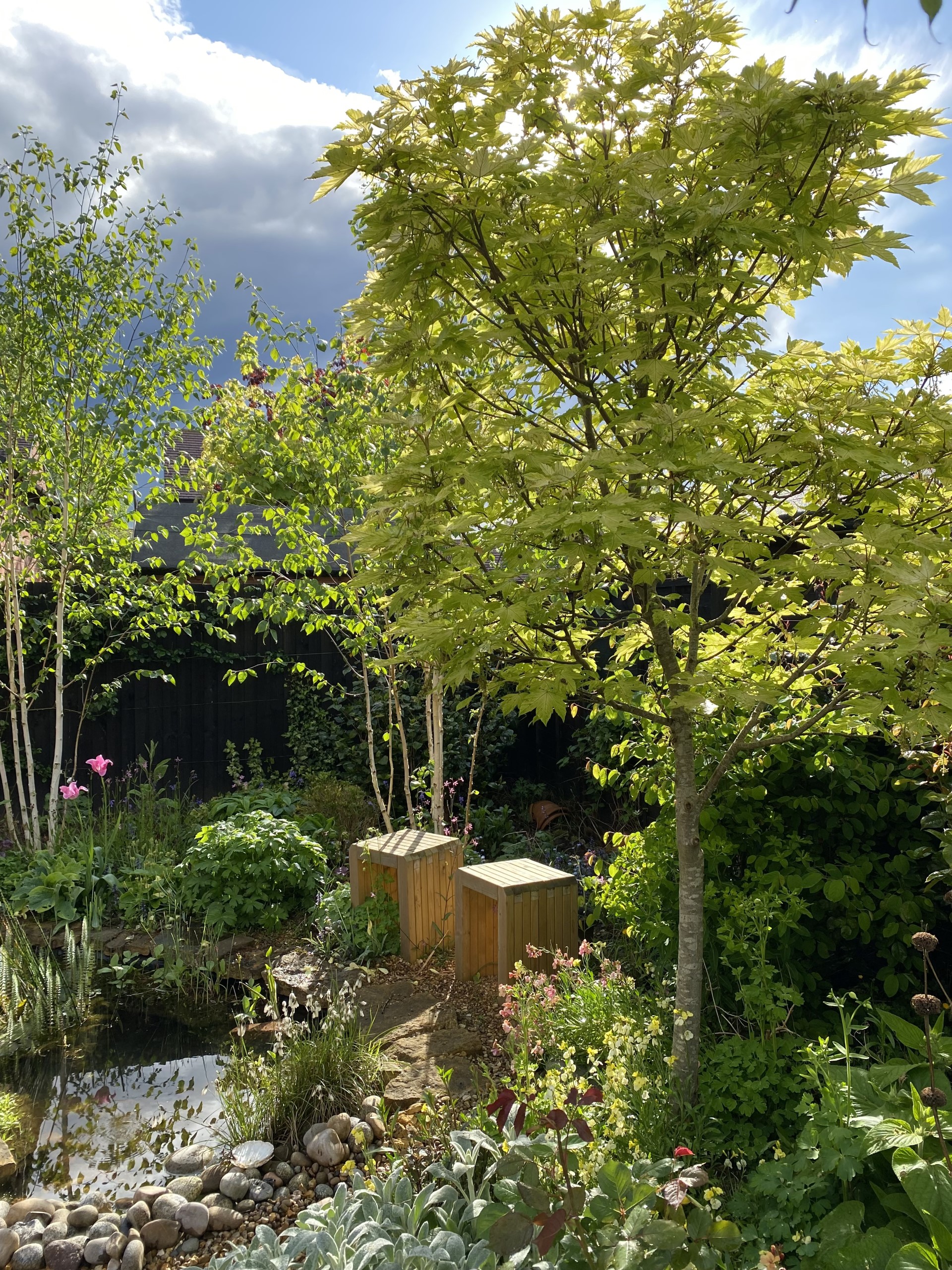 sustainable gardening
