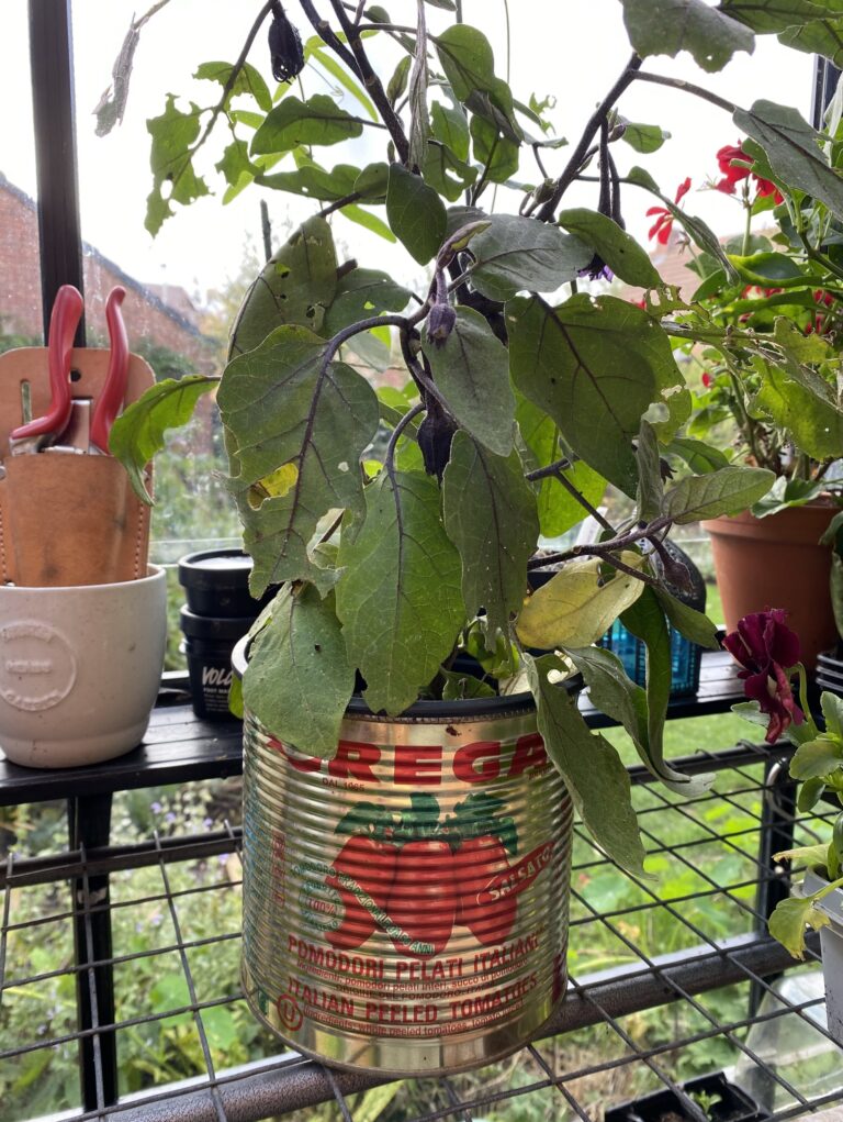 sustainable gardening